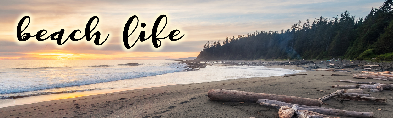 Beach Life Custom Vinyl Sticker, Window Cling or Magnet in UV Laminate Coating