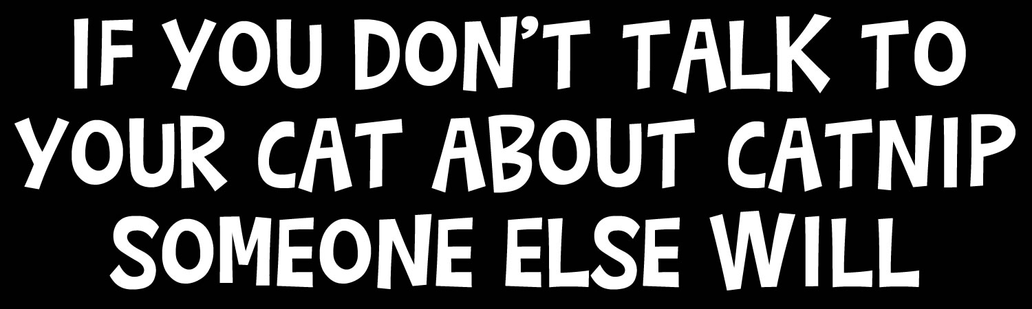 If you dont talk to your cat about catnip someone else will Vinyl Bumper Sticker, Window Cling or Bumper Sticker Magnet in UV Laminate Coating