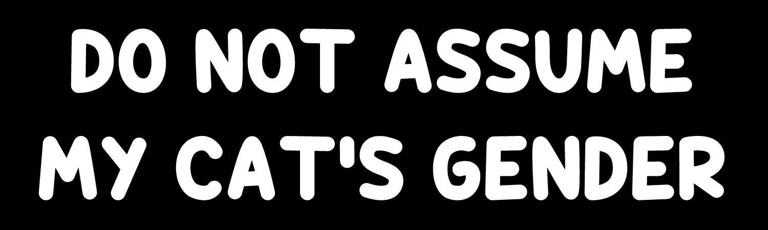 Do Not Assume My Cats Gender Vinyl Bumper Sticker, Window Cling or Bumper Sticker Magnet in UV Laminate Coating
