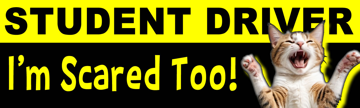 Student Driver I m Scared Too 