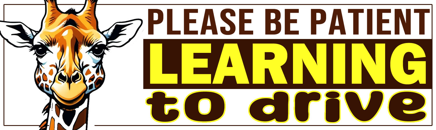 Please Be Patient Learning To Drive Vinyl Bumper Sticker  Window Cling or Bumper Sticker Magnet in UV Laminate Coating