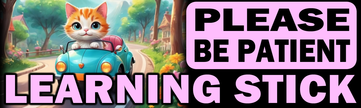Please be Patient Learning Stick Vinyl Bumper Sticker  Window Cling or Bumper Sticker Magnet in UV Laminate Coating