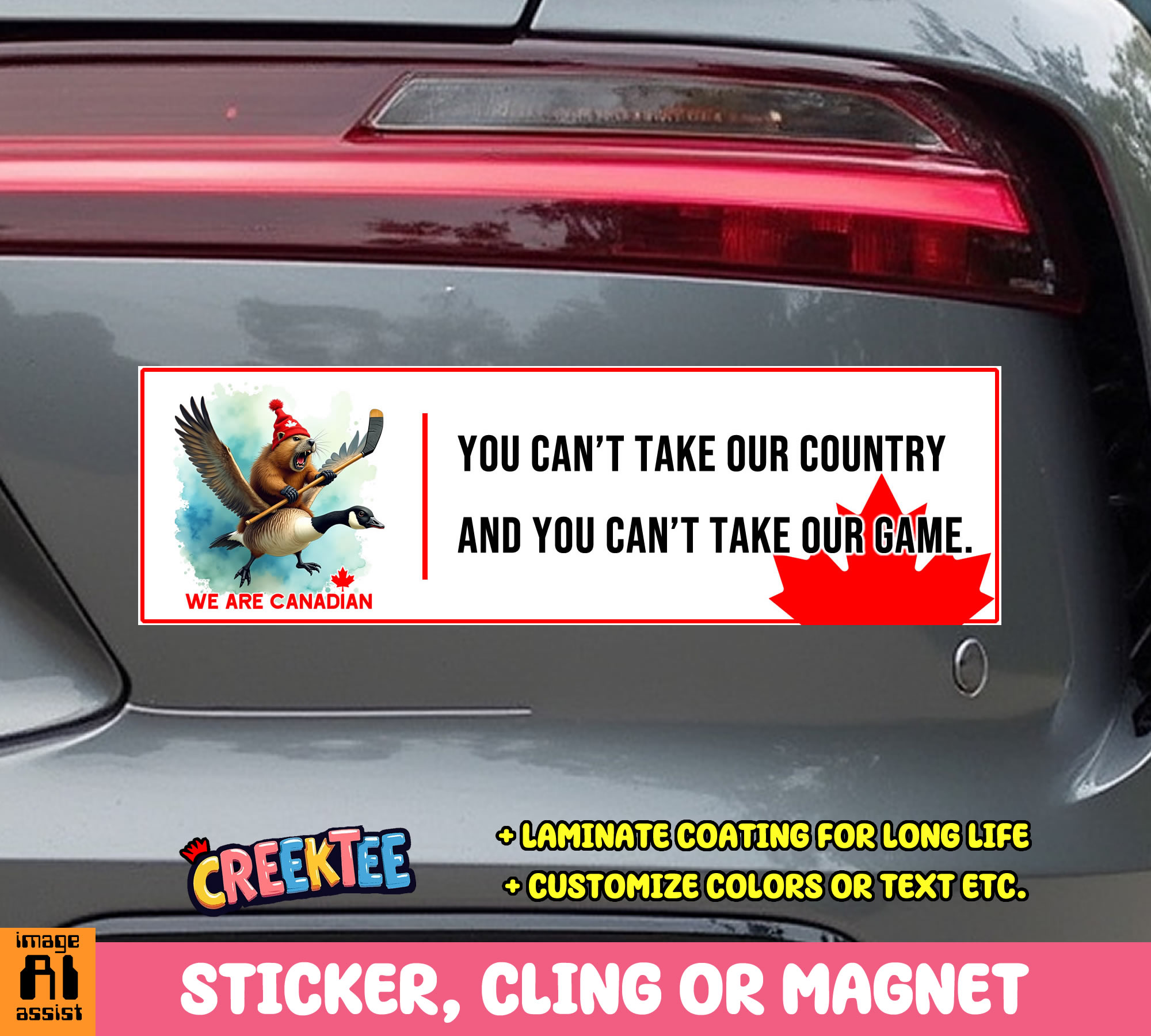 You Can t Take Our Country and You Can t Take Our Game Vinyl Bumper Sticker  Window Cling or Magnet in UV Laminate Coating and Various Sizes